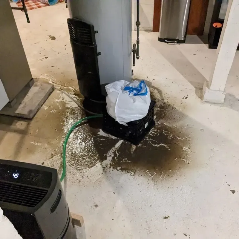Sewage Backup Cleanup Service in Canal Fulton, OH
